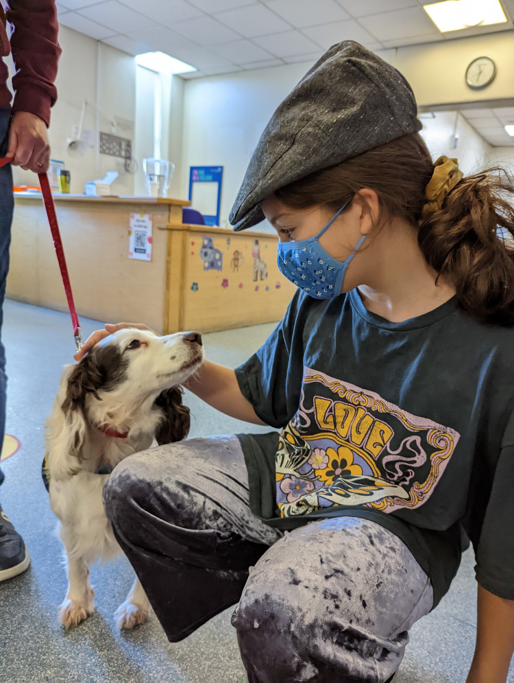 11-year-old Sophia who had her second COVID-19 vaccine with Lily the cocker spaniel