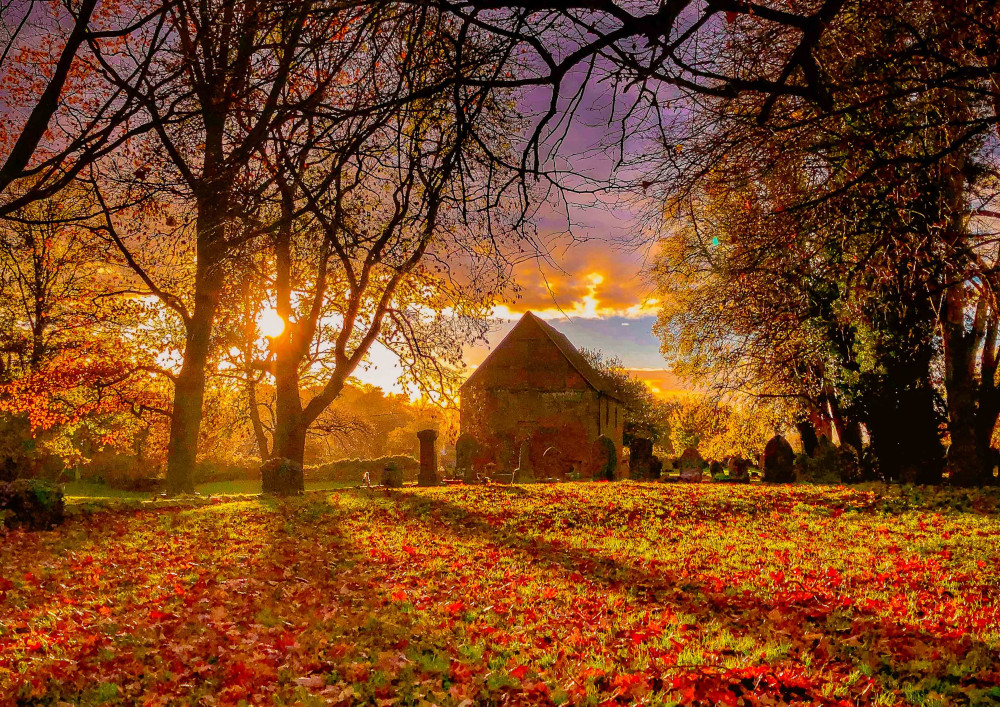 Picture of Abbey Fields taken by Johnathan Corbett, which is on the cover page of the Friends of Abbey Fields 2023 calendar (image supplied)