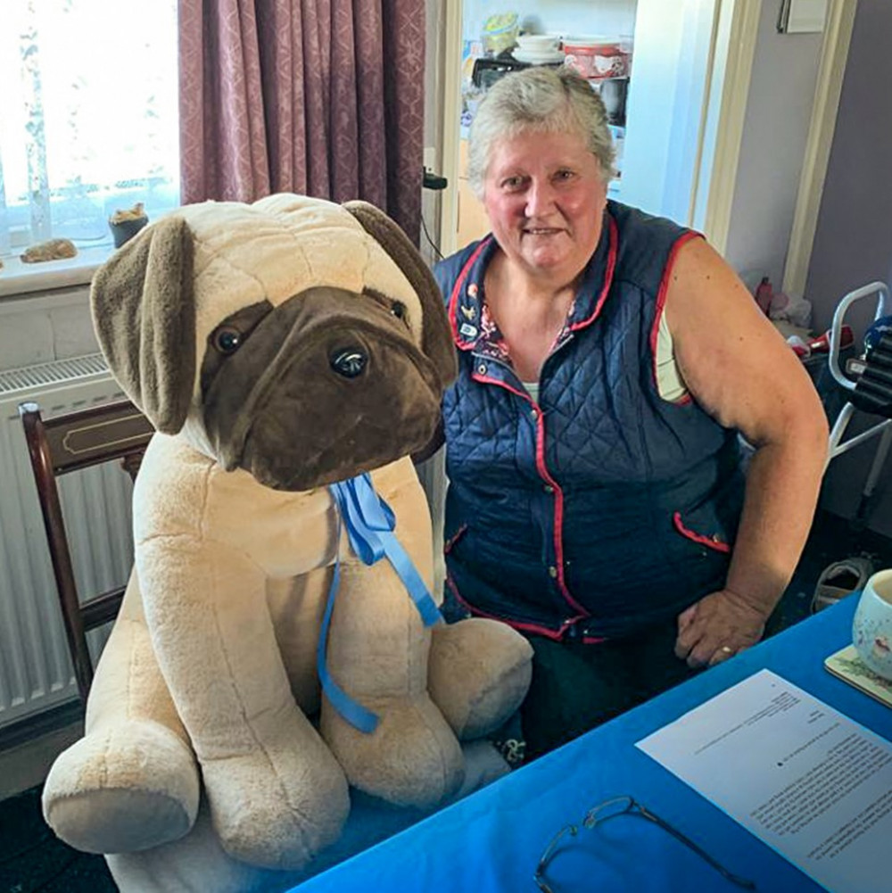 Guide Dogs fundraiser Pauline Pearce and her 'Hug a Pug'