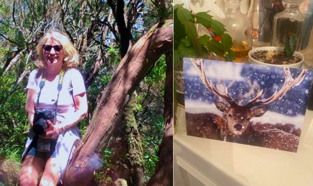 Claire Reilly's 'Stag in Snow' (right) is one of Bushy Park's Christmas cards this year.