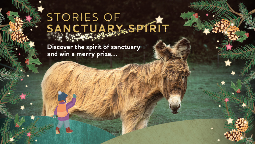 Stories of Sanctuary Spirit – Winter Trail