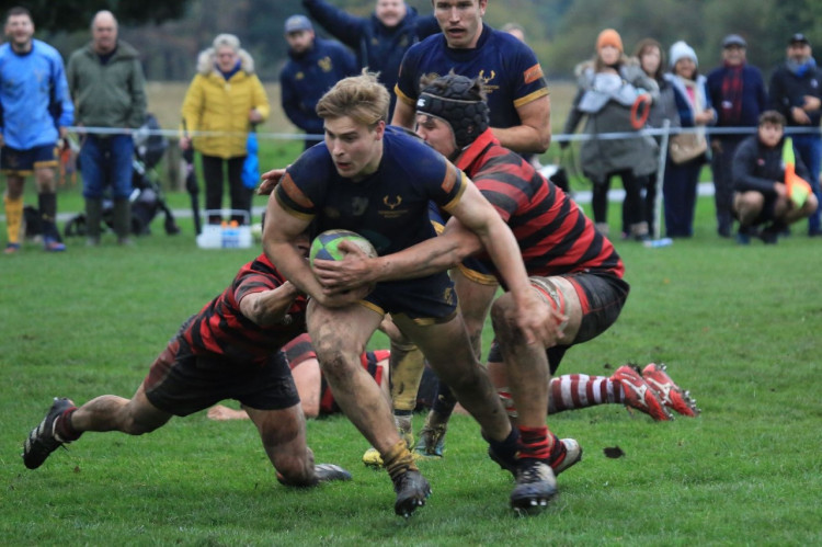 Teddington RFC had to be at their best to maintain their perfect record against Old Amplefordians. Photo: Beverley Ridler.
