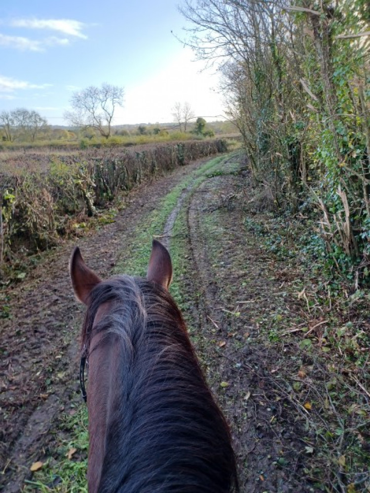 Riding down Society house restricted Byway