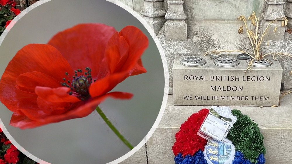 Find out about Armistice Day and Remembrance Sunday events near you this weekend. (Photos: Ben Shahrabi and Pixabay)