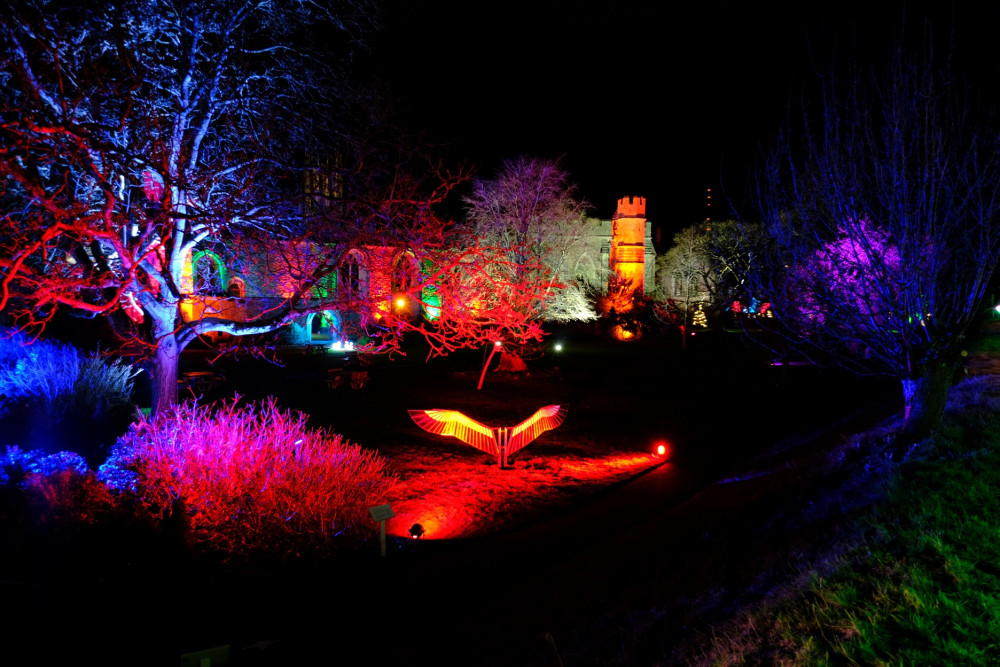 Christmas Garden Illuminations at The Bishop's Palace, Wells