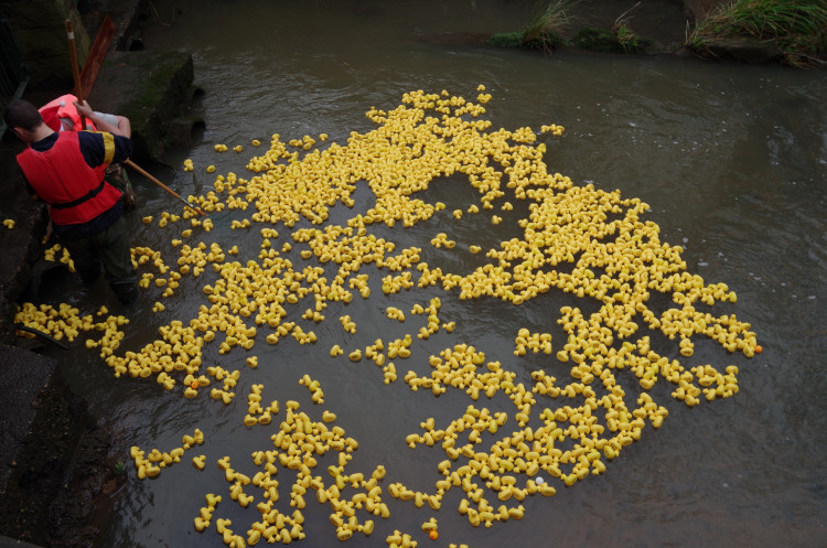 The last Kenilworth duck race was pushed back to New Year's Day due to the level of the ford last year (image by Richard Smith)