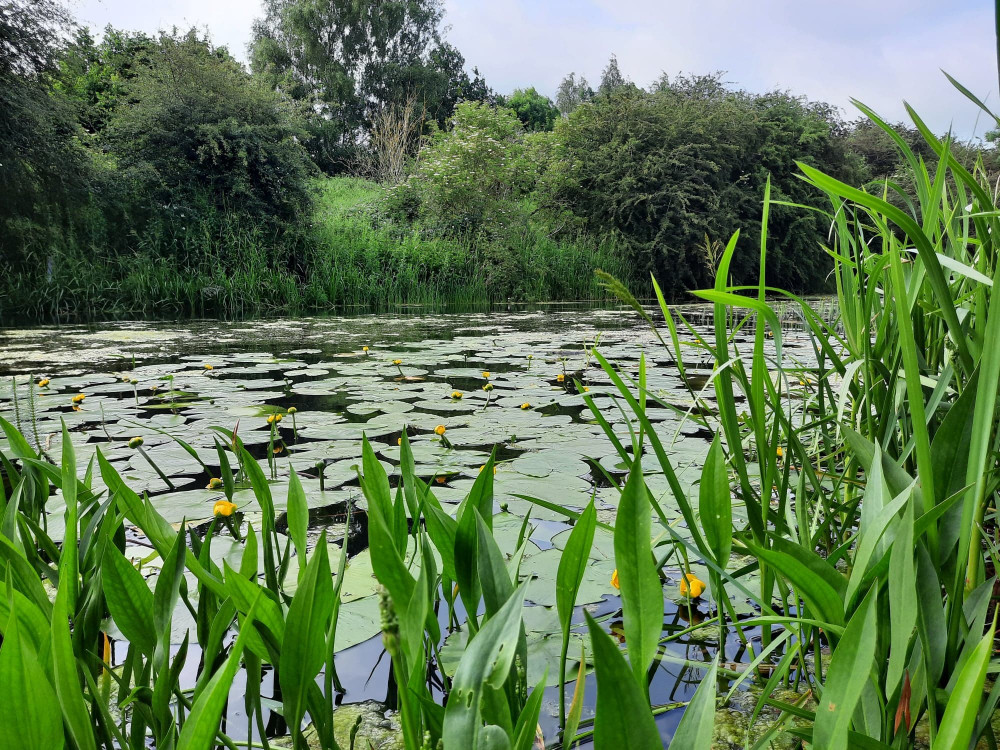 Overcast skies over the Oakham-Langham canal.