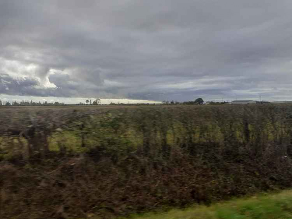 Burnham fields off Maldon Road, close to the site