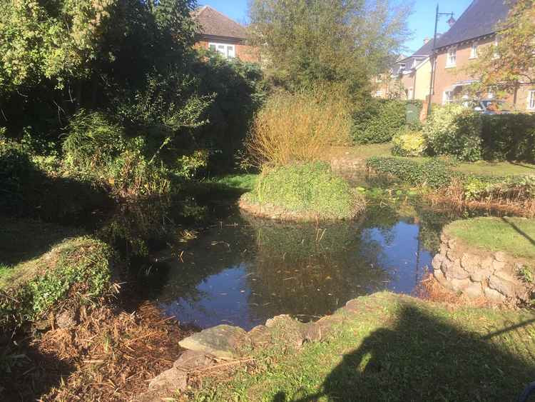 Ware Pond, Maldon