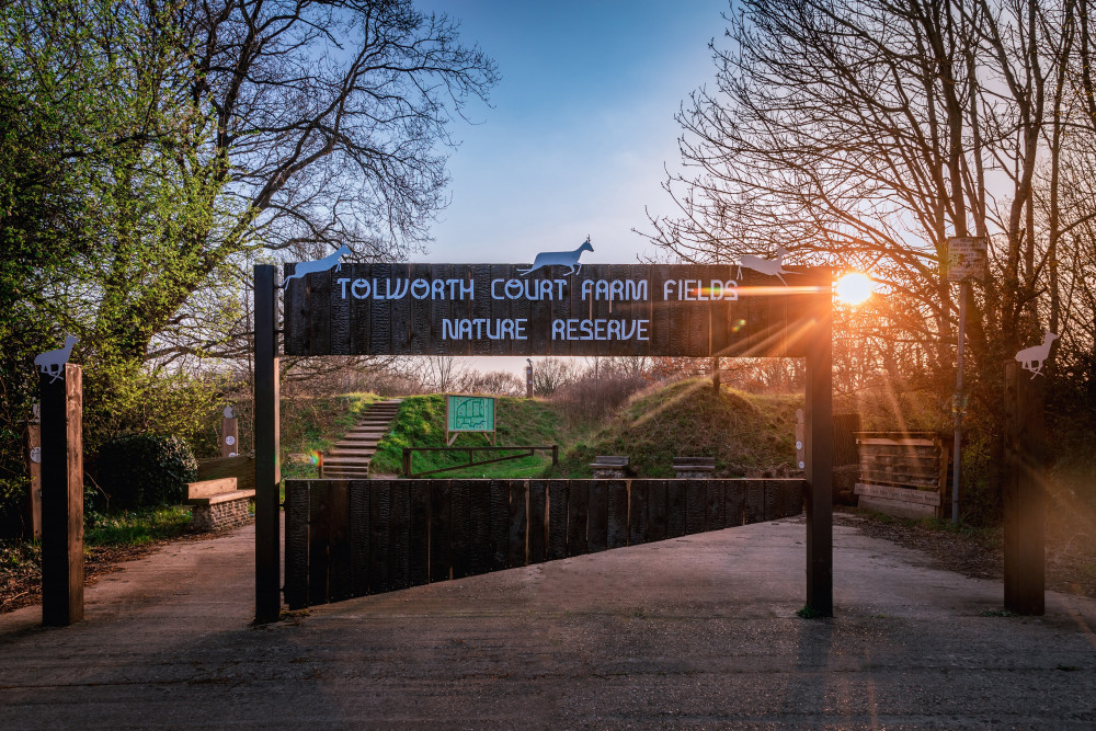 The striking gateway that leads to Kingston's largest nature reserve, Tolworth Court Farm Fields (Photo by Stuart Tree)