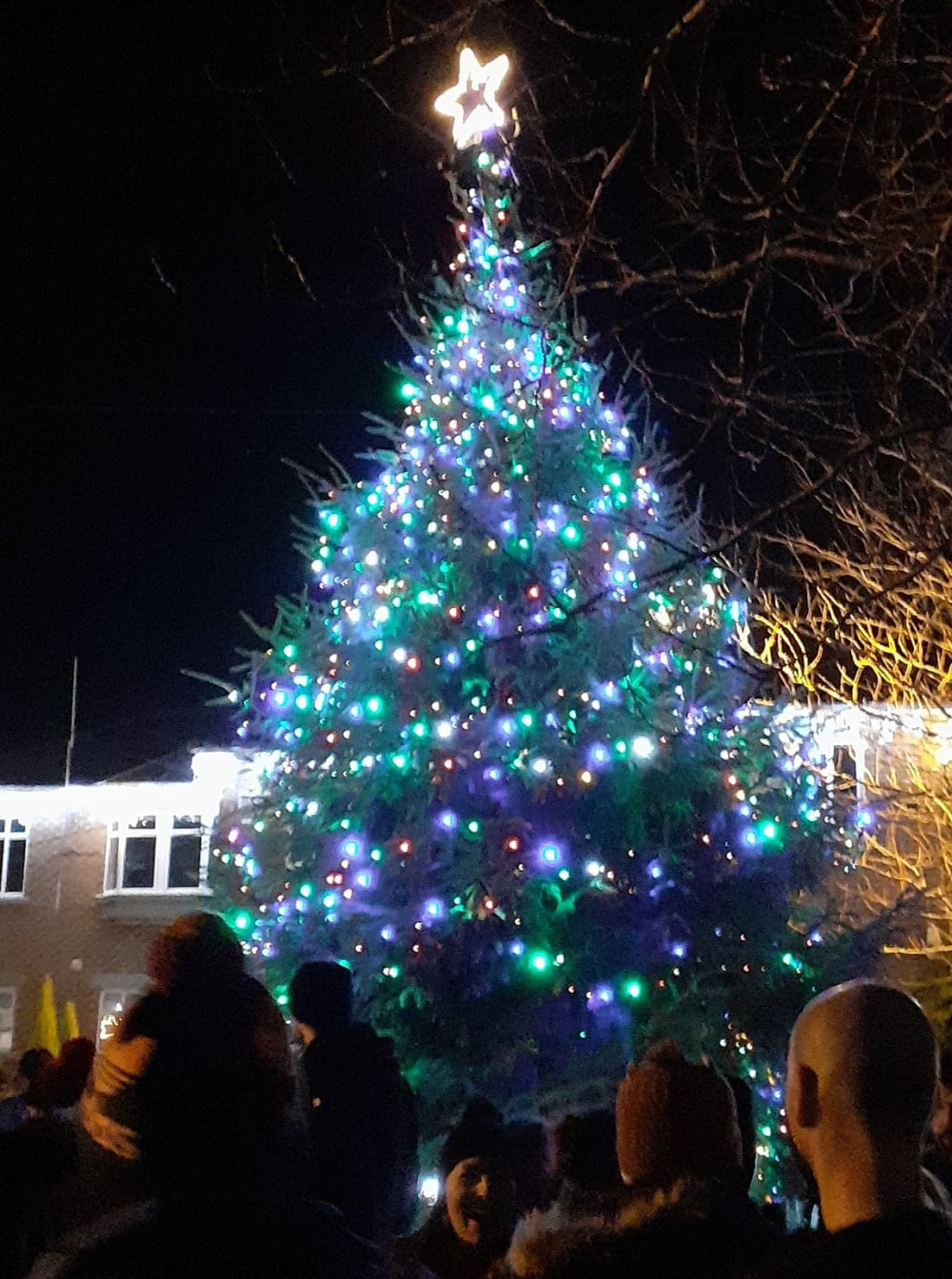 Alsager's Christmas tree at the lights switch-on 