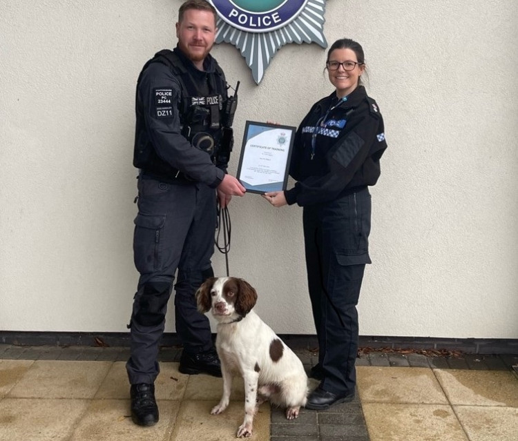 The force’s new furry friend could sniff out explosives  in Biddulph. 