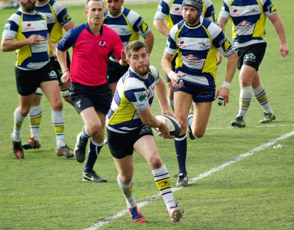 London Scottish picked up their first win of the season during the Championship Cup break. Photo: jacqueline macou from Pixabay.