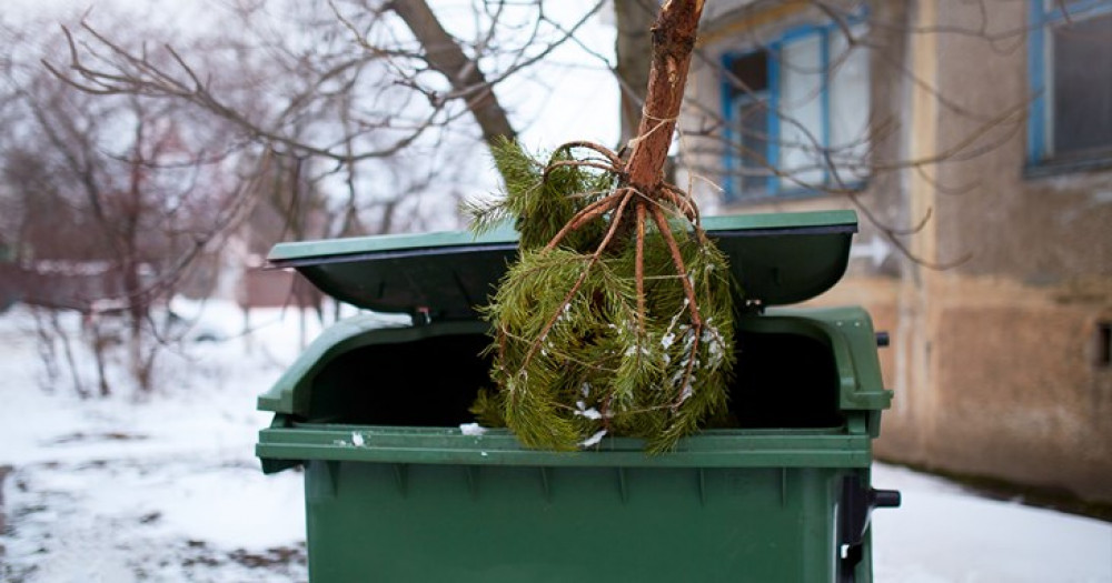 Don't do this! Council gives details of how to dispose of festive waste