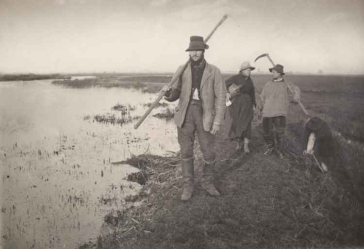 Farm labourers in the 19th Century