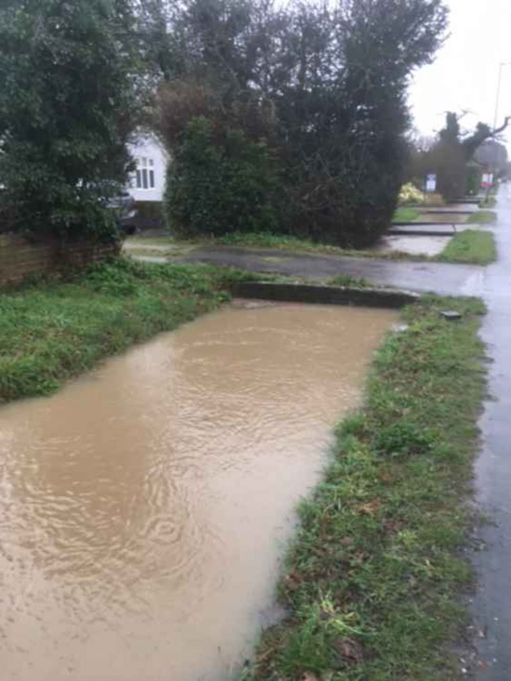 The ditch level this morning in Holloway Road, Heybridge