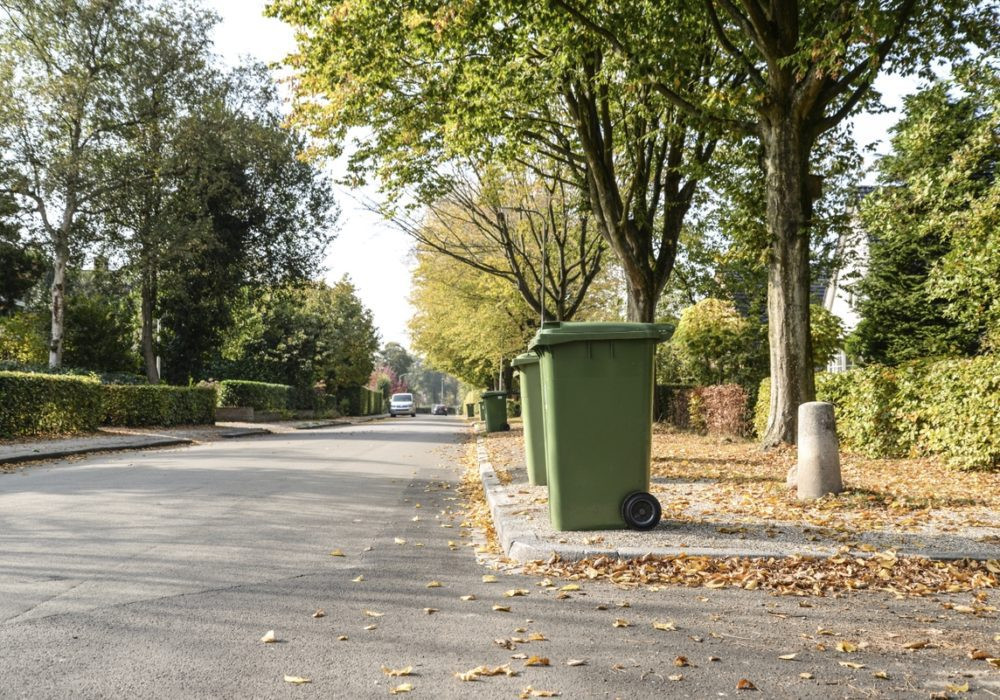 Ealing Council have set their bin festive period bin collection dates. Photo: Rawpixel.com.