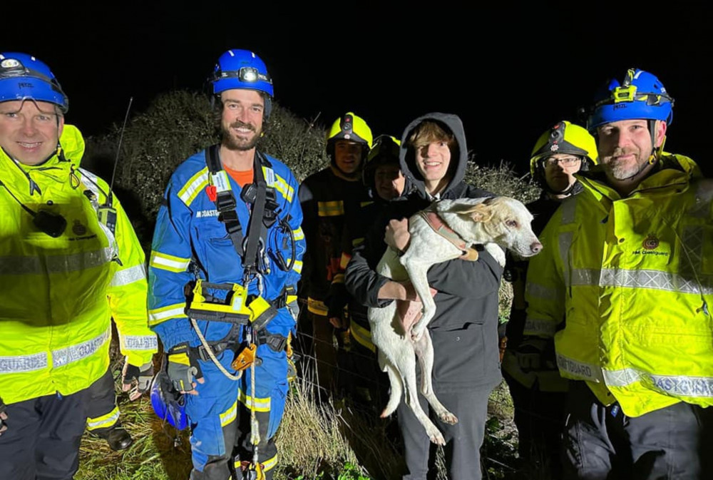 The dog had fallen around 50 feet down (Beer Coastguard Rescue Team)