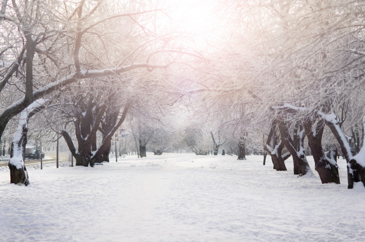 The Met Office has issued a severe weather warning. CREDIT: Unsplash