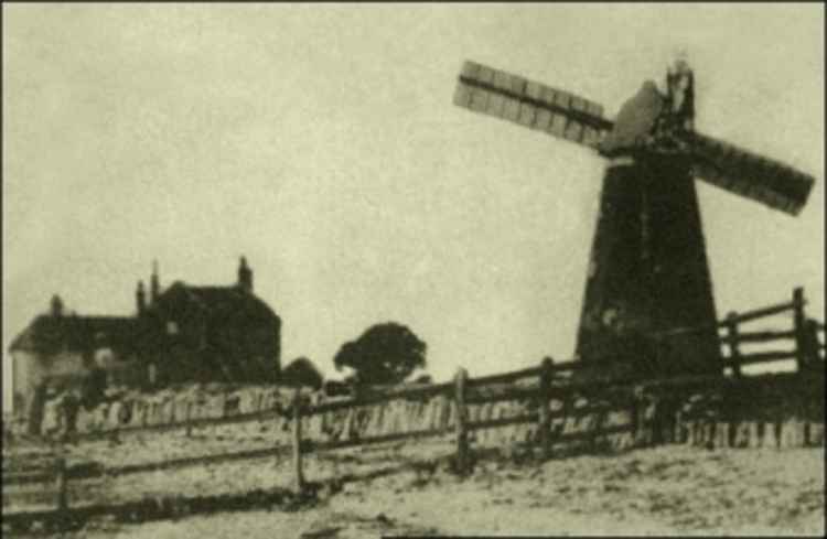 A 1900s photograph of the Mill Beach windmill (Goldhanger Past)