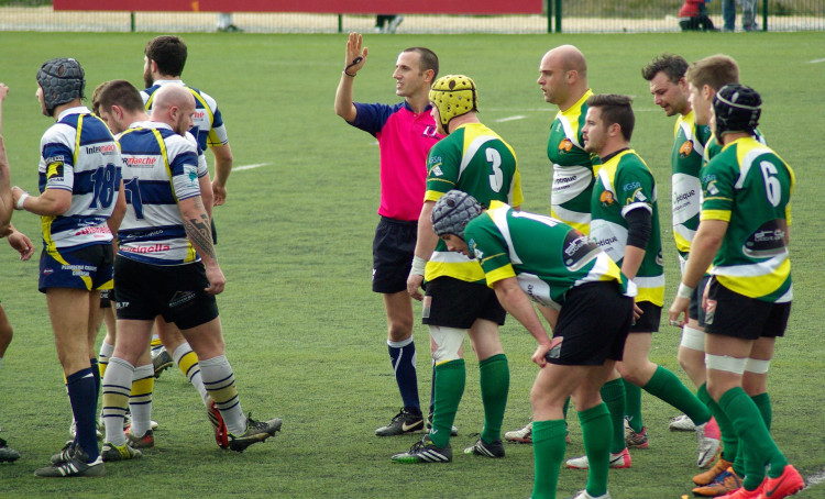 Ealing Trailfinders can win their tenth straight RFU Championship match this weekend. Photo: jacqueline macou from Pixabay.