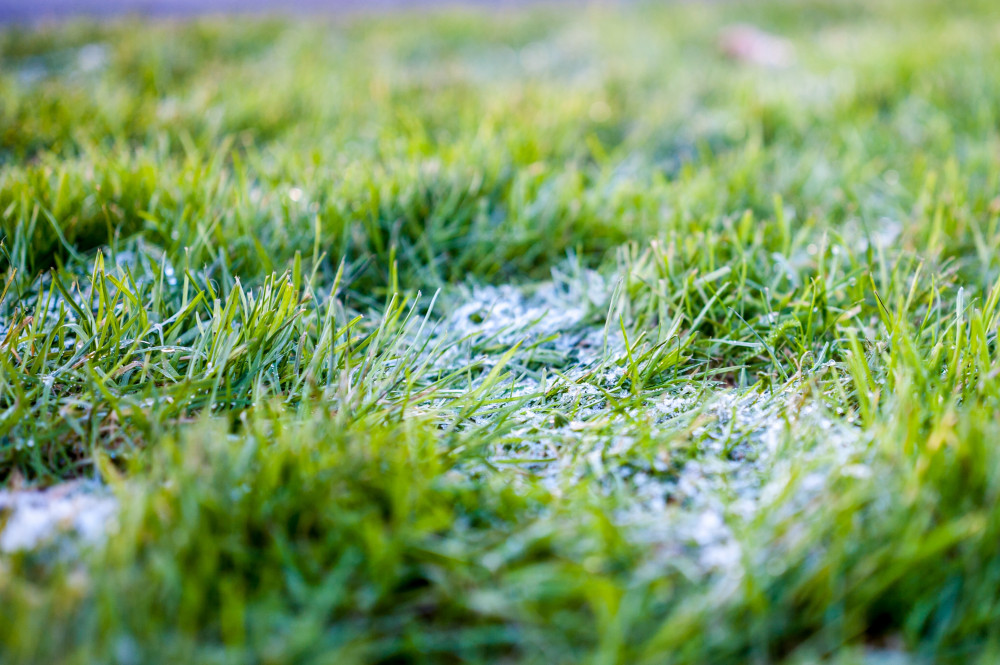 Buckland Athletic vs Falmouth Town postponed due to frozen pitch