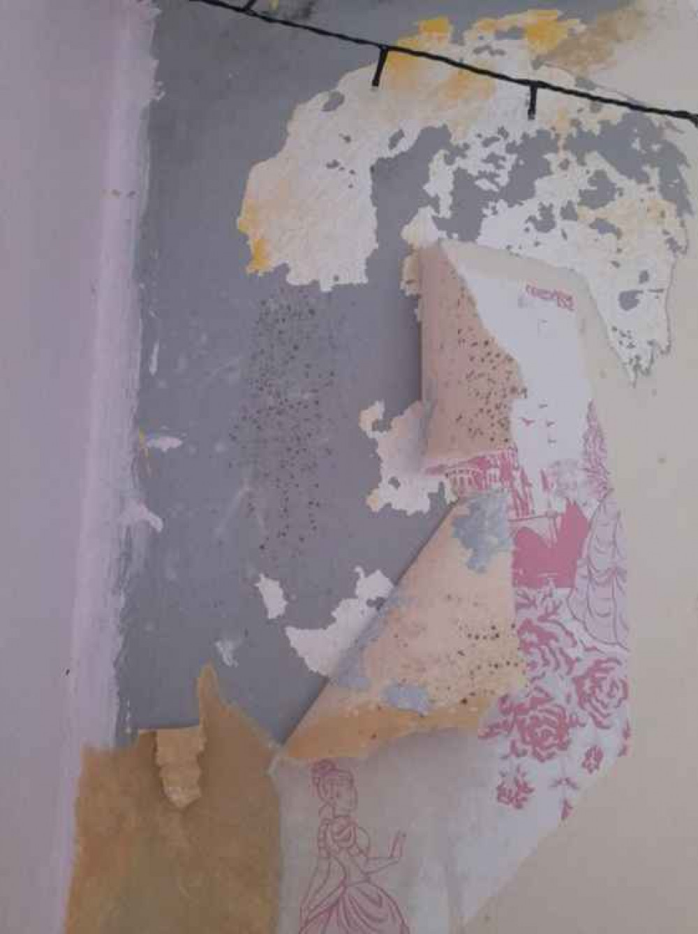 Mould can cause real problems in houses. 