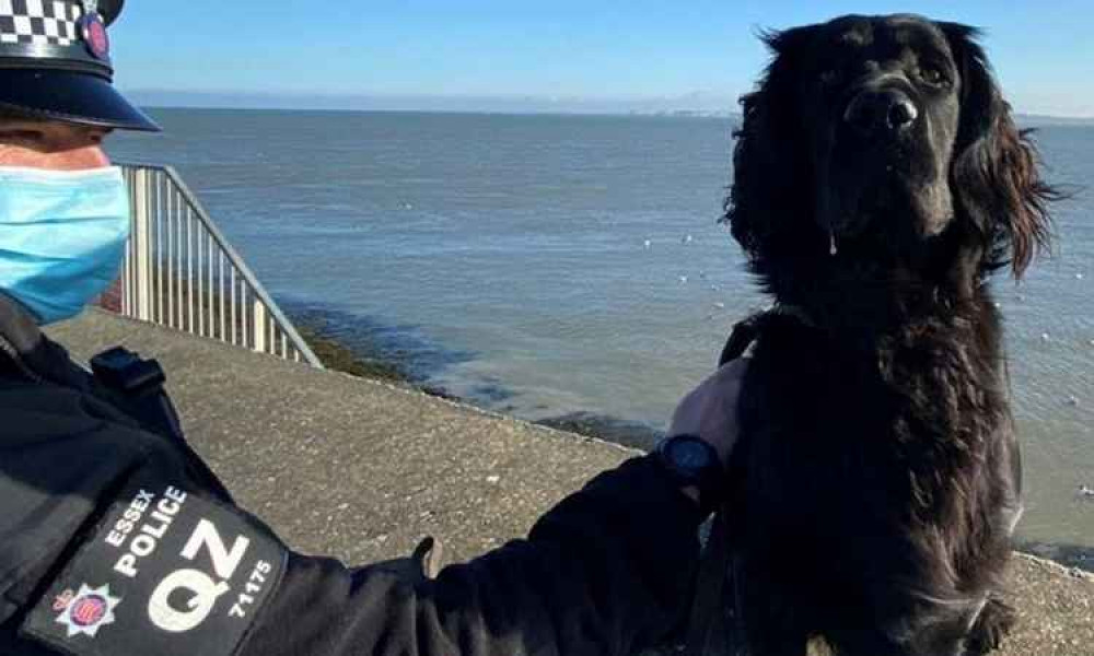 Essex PC Darren Barnard on patrol with PD Loki at Canvey Island: residents are warned that driving out of area to visit a beach is against Covid restrictions