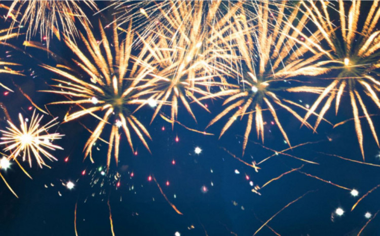 Protect your animals this New Year's Eve as fireworks go off