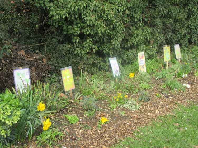 Longfield open space in Maldon with the bulbs planted by The Friary Playschool