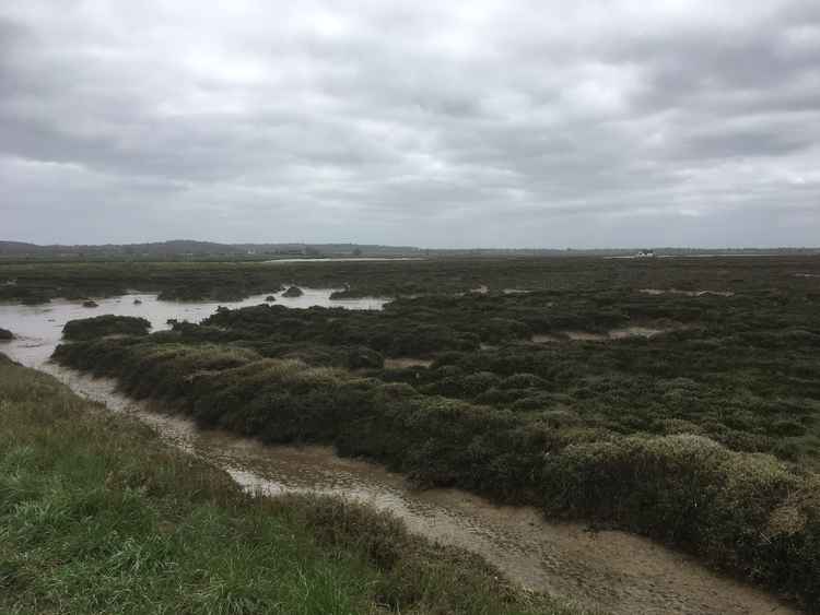 The salt marshes at North Fambridge