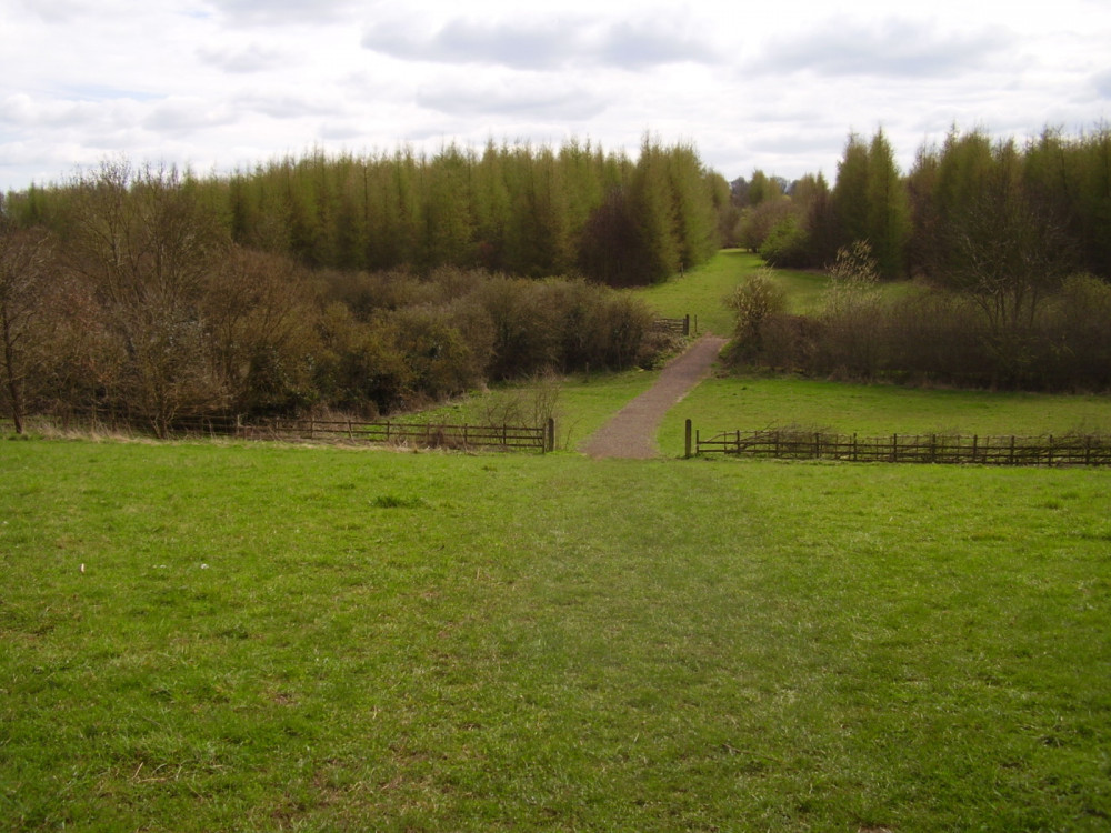 Nottinghamshire County Council is set to create a nature reserve in Hucknall. Photo © Driving with Dogs.