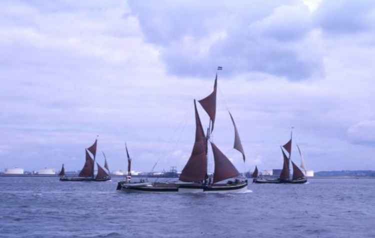The Saltcote Belle in a barge match (Mersea Museum)
