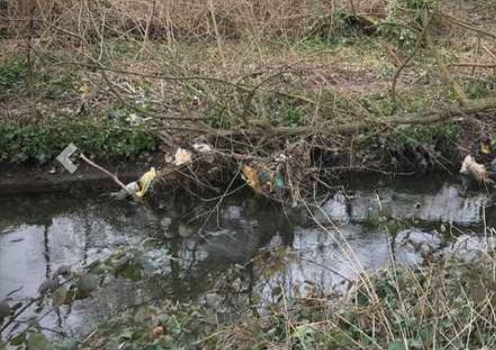 Discharges from Mogden have polluted Duke of Northumberland river in the past.