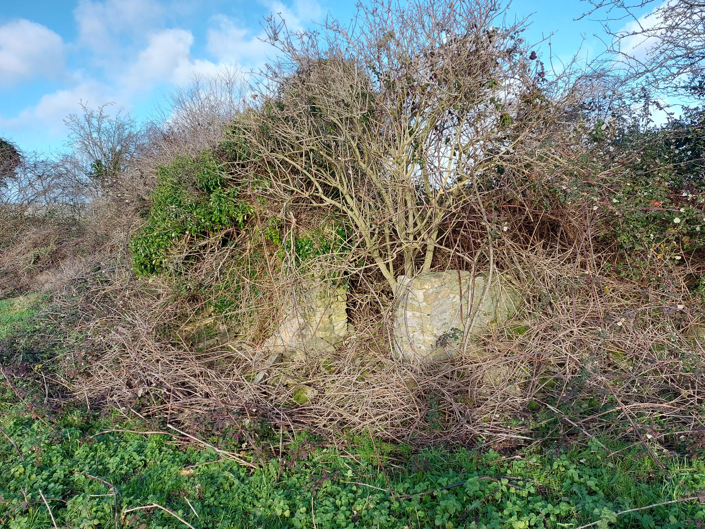 Natural corridor attracting bats, owls, and wildlife with natural hedgerows with badgers and foxes.