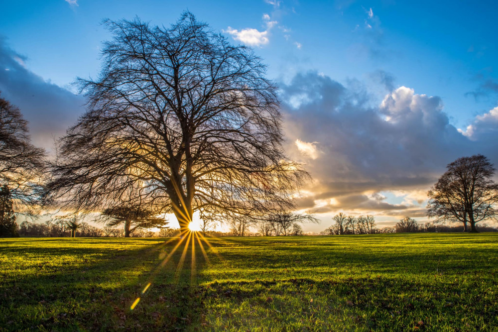 Image courtesy of Burghley House.