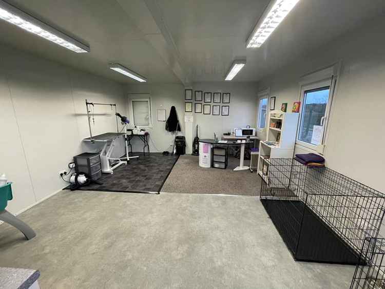 Dannii's new grooming parlour space! Dannii's new grooming parlour space!