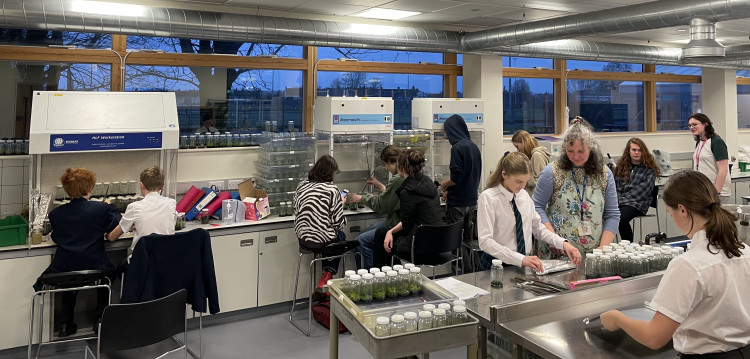 Students prepare for visit in orchid propagation lab