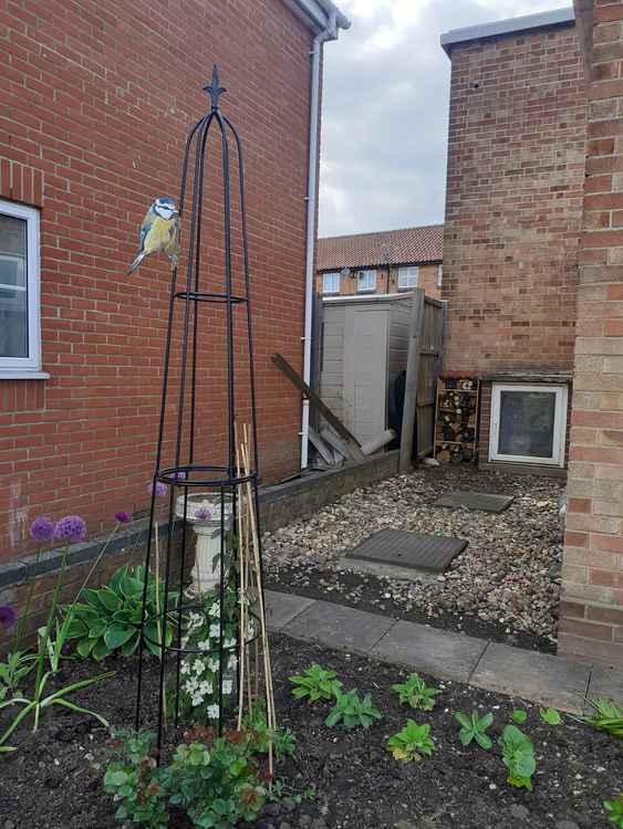 The obelisk and bug hotel