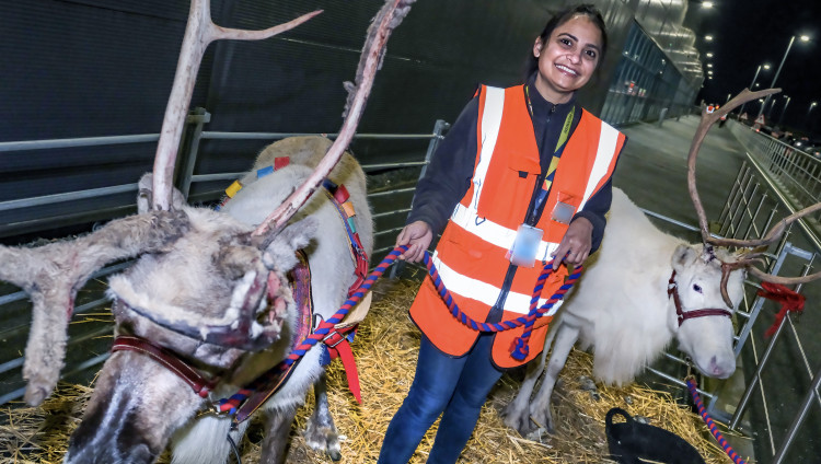 Phoenix Children's Foundation takes its reindeer to Amazon Coalville every year to say 'thanks'