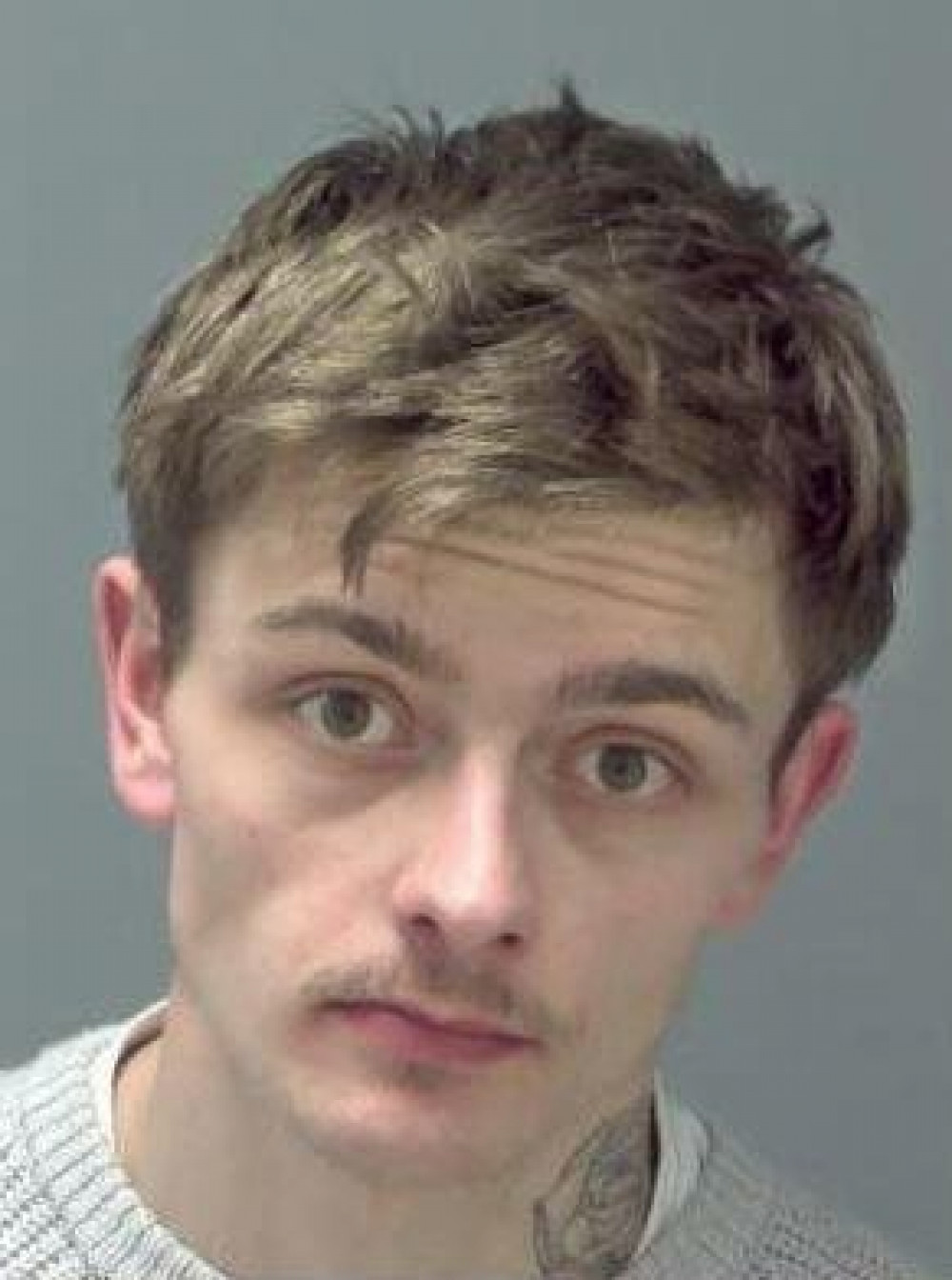 Child sex attacker Joshua Marczell jailed (Picture: Suffolk police)