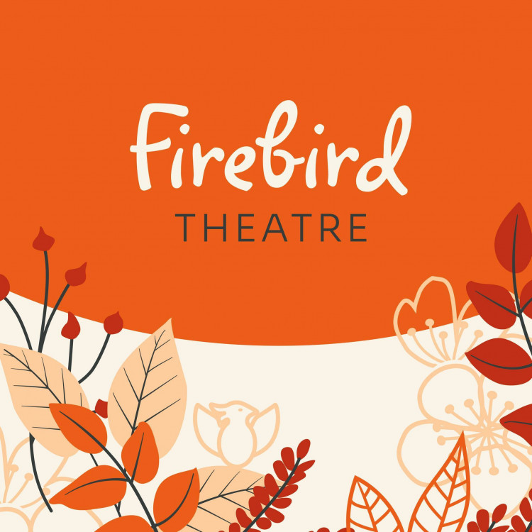 Firebird Theatre runs a group-based dance session for children teaching a variety of dance performance skills and techniques.