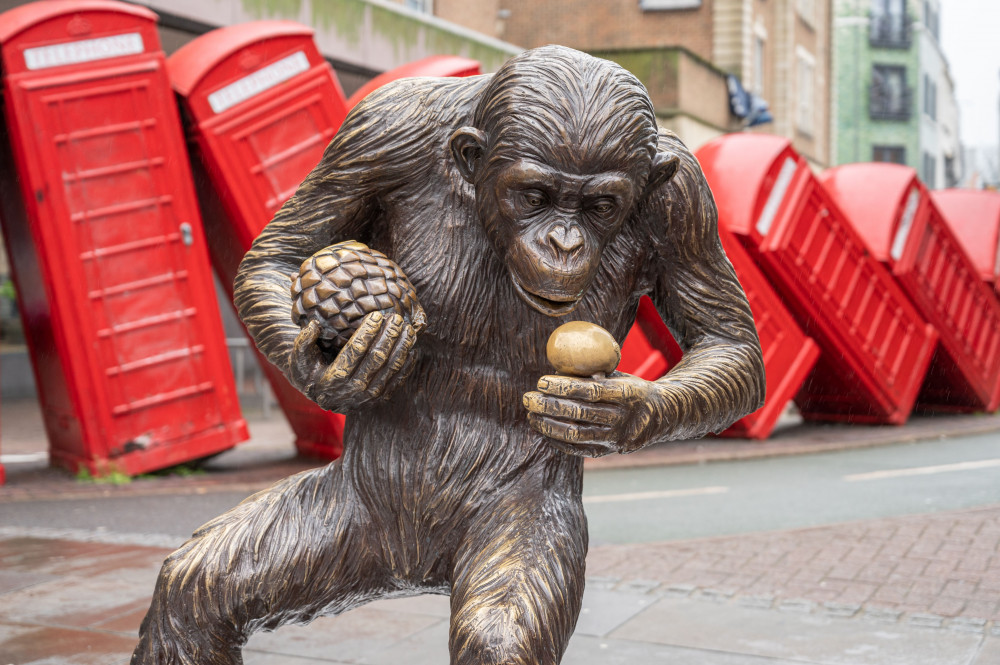 Kingston upon Thames has officially welcomed 10 chimps from the hugely successful 'Chimps Are Family' exhibition (Credit: Chris Dalton / Gillie and Marc). Kingston upon Thames has officially welcomed 10 chimps from the hugely successful 'Chimps Are Family' exhibition (Credit: Chris Dalton / Gillie and Marc).