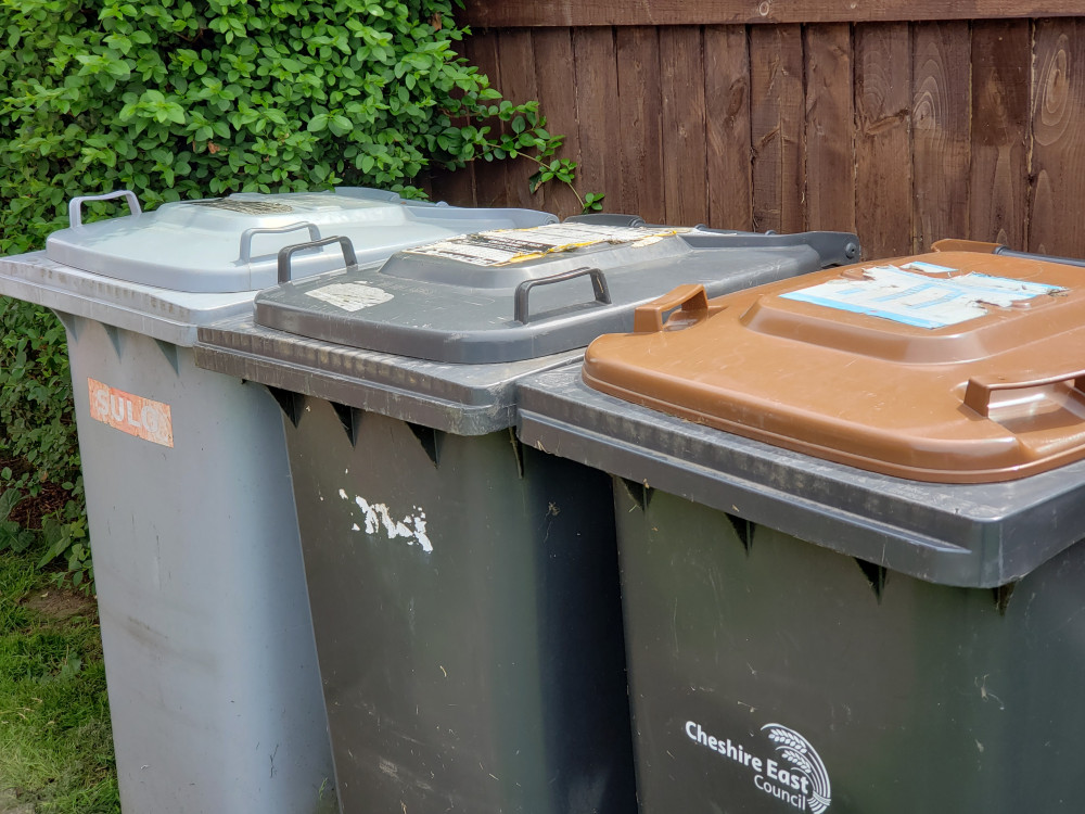 Residents could be charged to empty their green waste (brown) bins. 