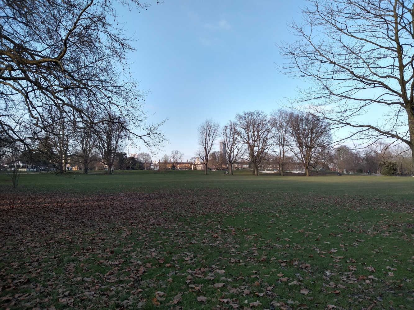 Acton Park: to lose Metropolitan Open Land status.