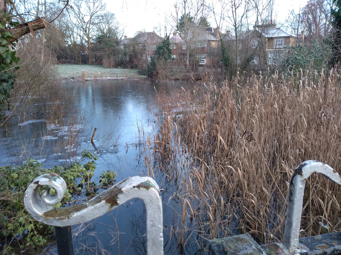 Baron's Pond: can't be seen through a brick wall!