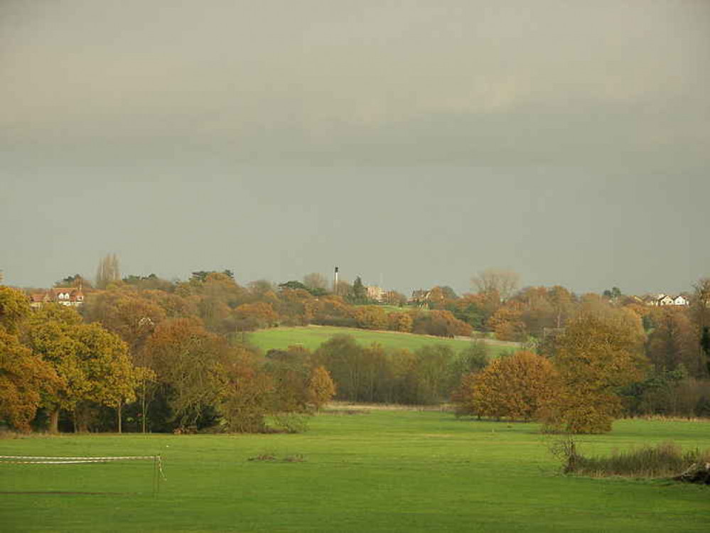 Hylands Park in Chelmsford