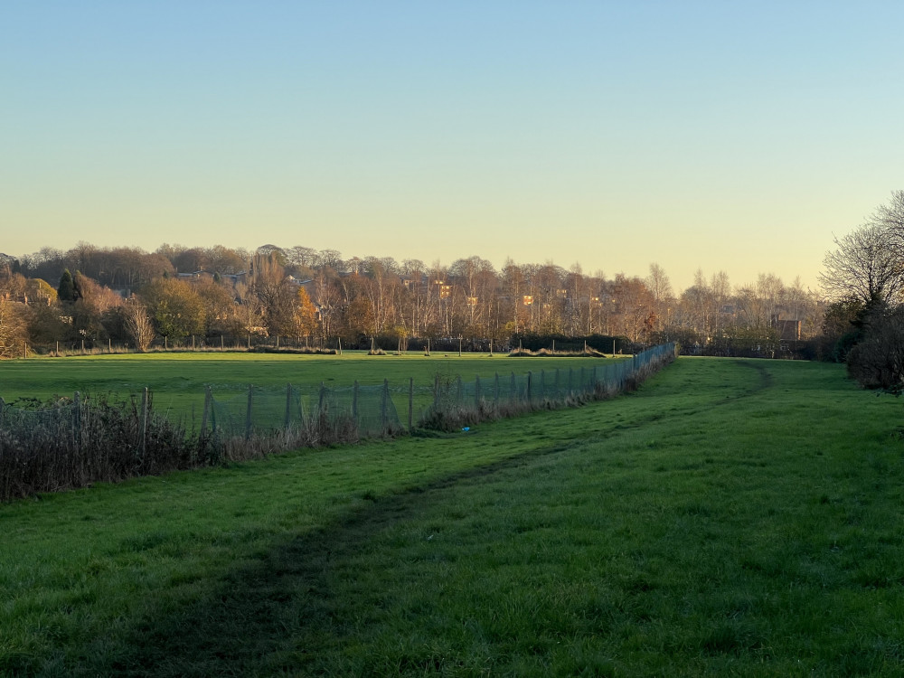 Hoon Avenue fields, Wolstanton (Richard Price).