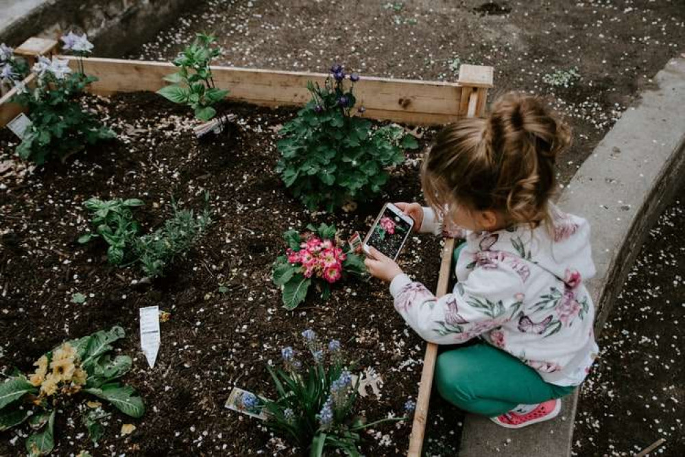 Maldon's gardening sessions will take place at the Museum of Power (credit: Kelly Sikkema via Unsplash)