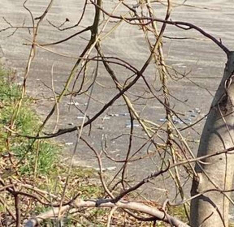 Nitrous oxide canisters lying on the ground by the canal in Heybridge